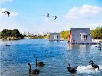 上海-大千天鹅湖庄园