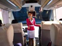 约宝宝商务伴游市场，开启线上网约的新篇章服务