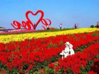 上海周浦花海生态园