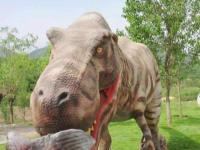 石家庄-西部长青自然儿童乐园