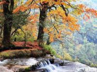 昭通小草坝风景区