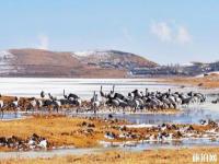 昭通大山包国家公园