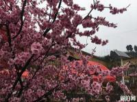 成都桃花故里旅游景区