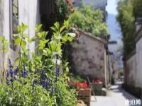 黟县打鼓岭景区