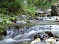 安庆莲洞国家森林公园