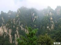 王顺山国家森林公园